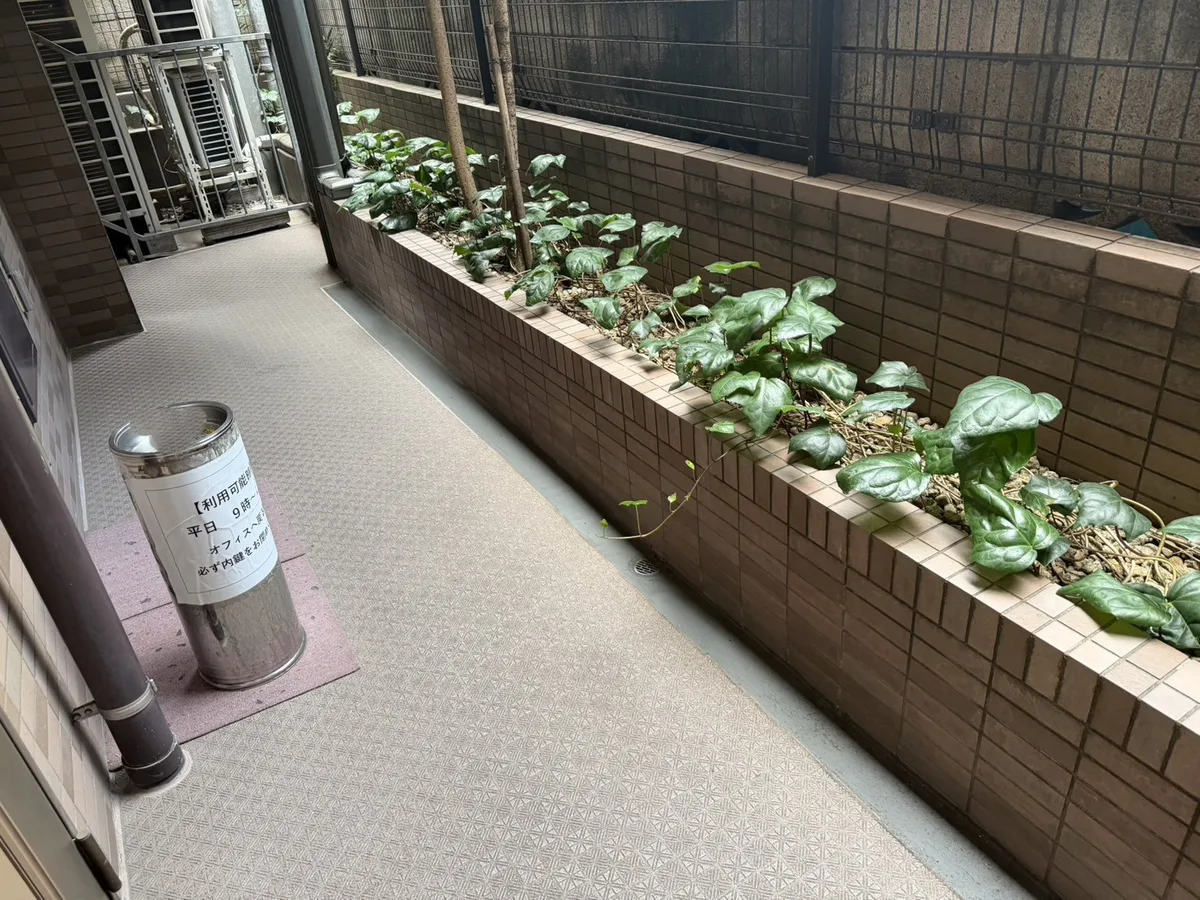 アントレオフィス渋谷 サムネイル10