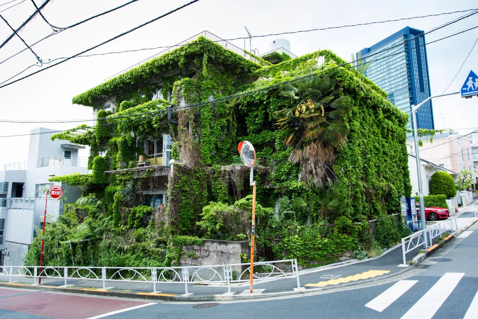 MIDORI.so Nakameguro サムネイル4