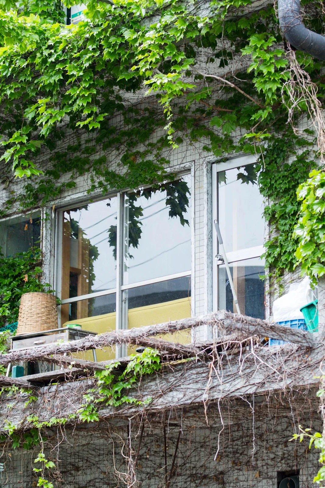 MIDORI.so Nakameguro サムネイル6