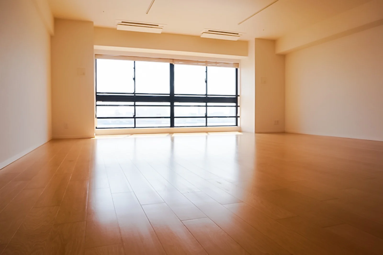 the SOHO サムネイル3