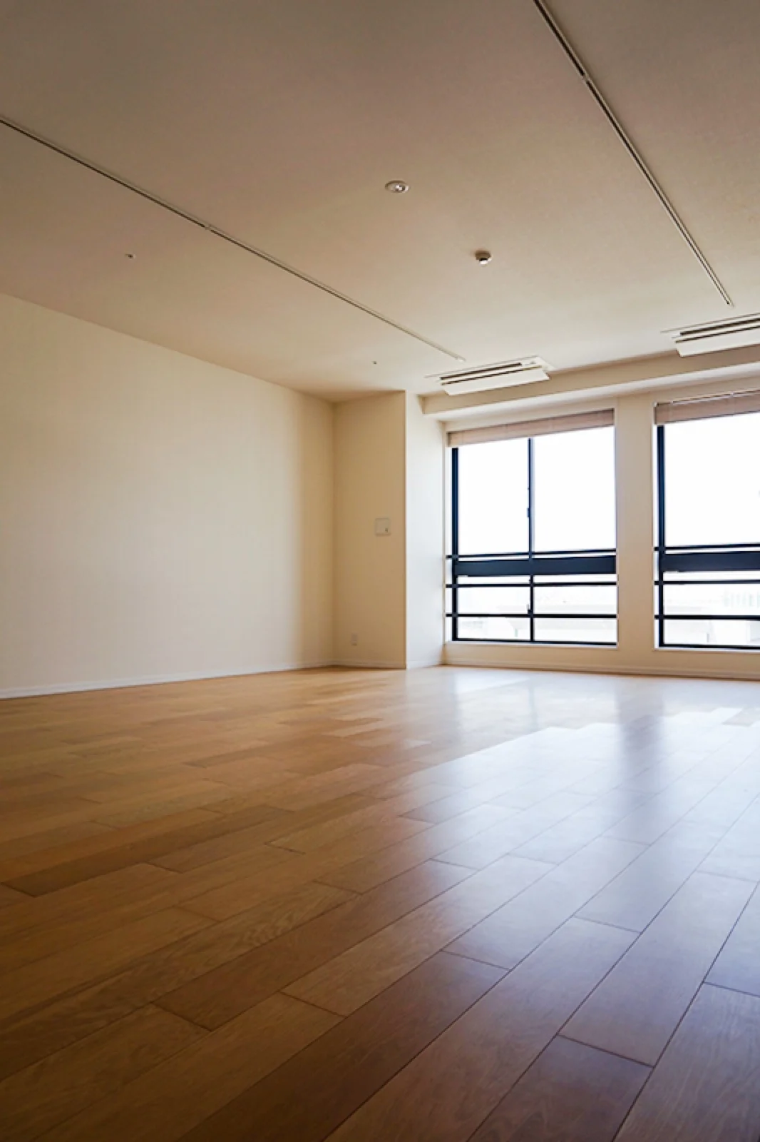 the SOHO サムネイル8
